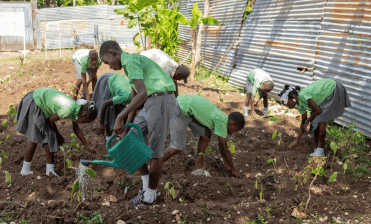 Journée mondiale de l'environnement :  appel en faveur de la restauration des terres et préservation de la biodiversité